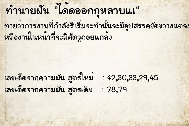 ทำนายฝันได้ดออกกุหลาบแà ทำนายฝันทำนายฝันได้ดออกกุหลาบแà