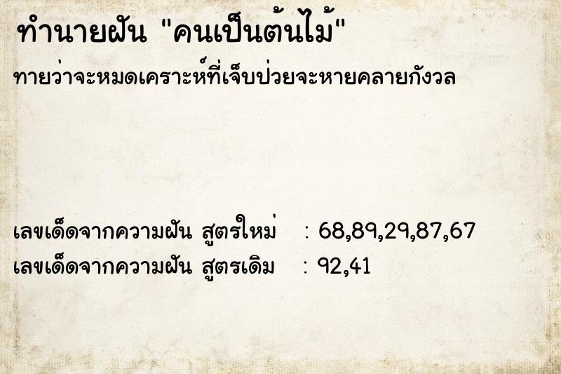 ทำนายฝันคนเป็นต้นไม้ ทำนายฝันทำนายฝันคนเป็นต้นไม้