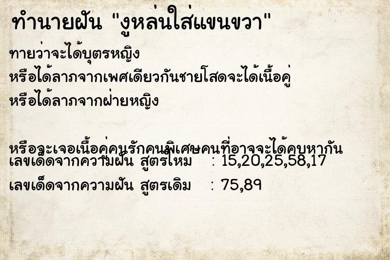 ทำนายฝันงูหล่นใส่แขนขวา ทำนายฝันทำนายฝันงูหล่นใส่แขนขวา