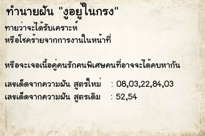 ทำนายฝันงูอยู่ในกรง ทำนายฝันทำนายฝันงูอยู่ในกรง