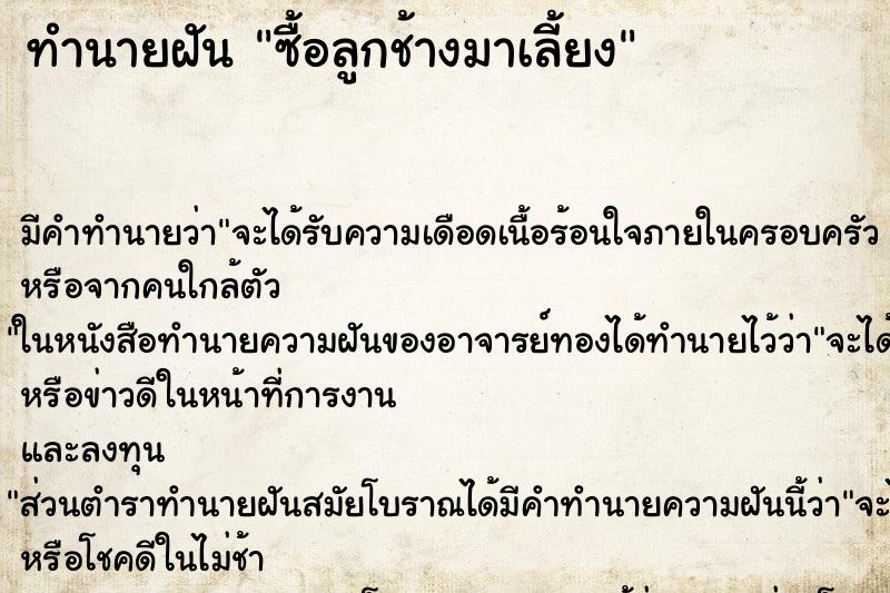 ทำนายฝันทำนายฝันซื้อลูกช้างมาเลี้ยง