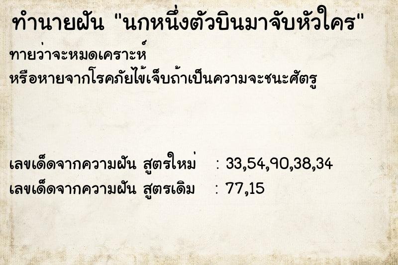 ทำนายฝันนกหนึ่งตัวบินมาจับหัวใคร ทำนายฝันทำนายฝันนกหนึ่งตัวบินมาจับหัวใคร
