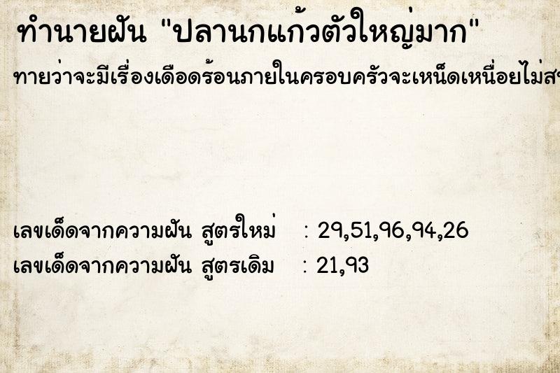 ทำนายฝัน ปลานกแก้วตัวใหญ่มาก ทำนายฝัน ปลานกแก้วตัวใหญ่มาก