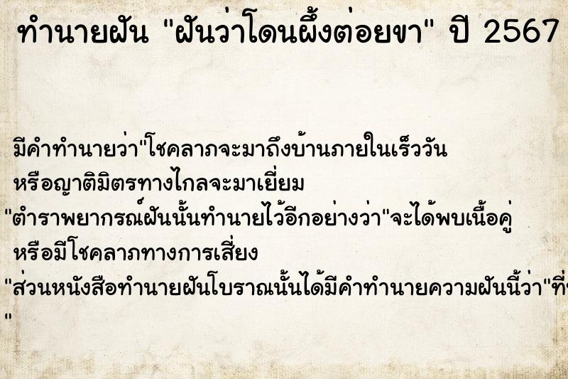 ทำนายฝัน ฝันว่าโดนผึ้งต่อยขา