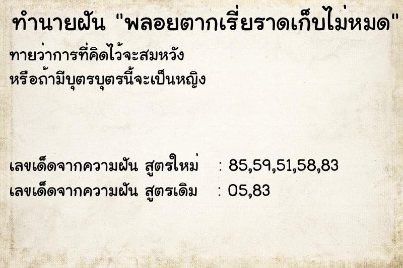 ทำนายฝันพลอยตากเรี่ยราดเก็บไม่หมด ทำนายฝันทำนายฝันพลอยตากเรี่ยราดเก็บไม่หมด