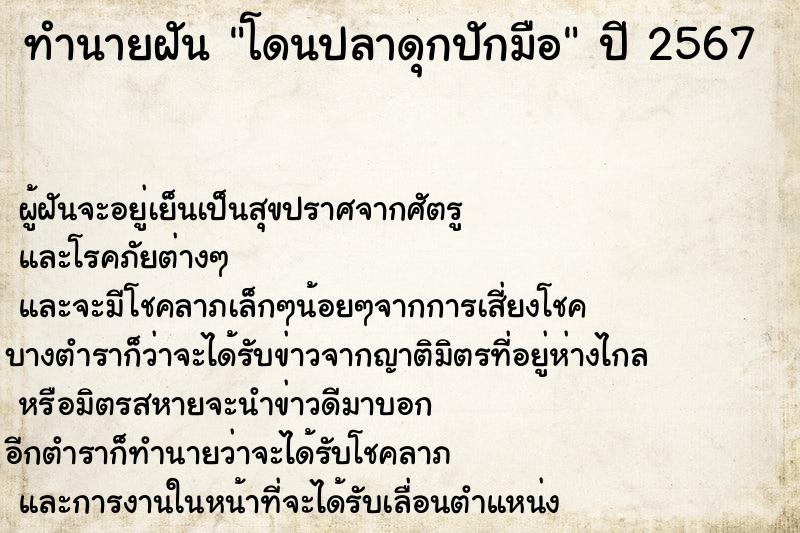 ทำนายฝัน โดนปลาดุกปักมือ ทำนายฝัน โดนปลาดุกปักมือ