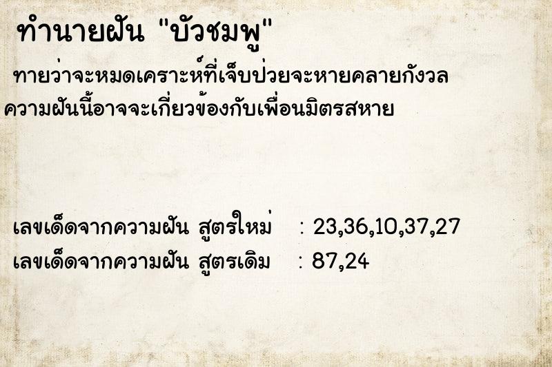 ทำนายฝันบัวชมพู ทำนายฝันทำนายฝันบัวชมพู