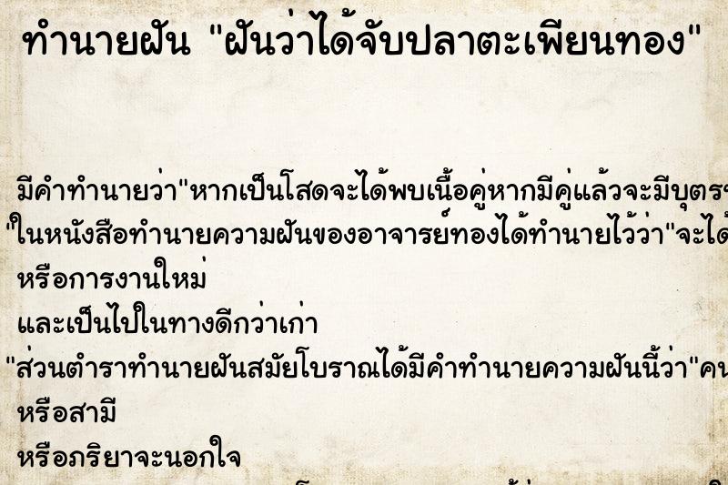 ทำนายฝัน ฝันว่าได้จับปลาตะเพียนทอง ทำนายฝัน ฝันว่าได้จับปลาตะเพียนทอง