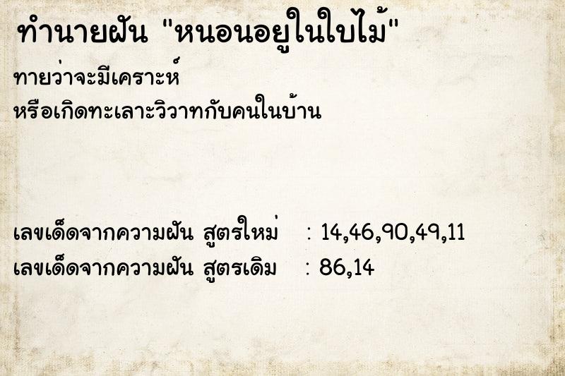 ทำนายฝันหนอนอยูในใบไม้ ทำนายฝันทำนายฝันหนอนอยูในใบไม้