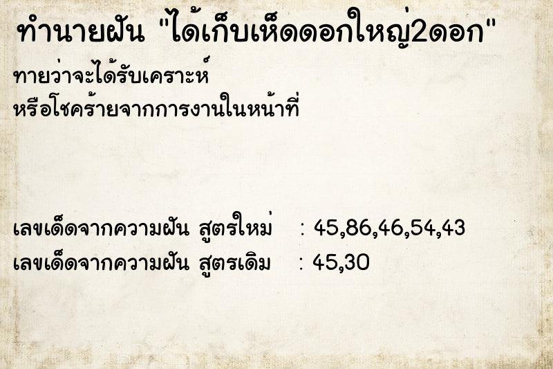 ทำนายฝันได้เก็บเห็ดดอกใหญ่2ดอก ทำนายฝันทำนายฝันได้เก็บเห็ดดอกใหญ่2ดอก