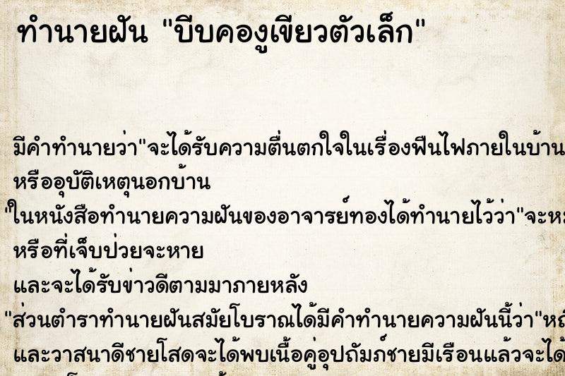 ทำนายฝัน บีบคองูเขียวตัวเล็ก ทำนายฝัน บีบคองูเขียวตัวเล็ก