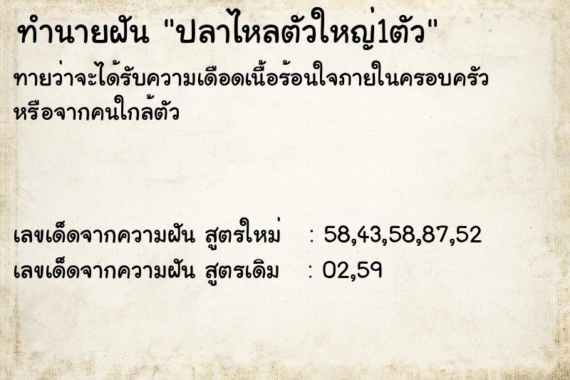ทำนายฝันปลาไหลตัวใหญ่1ตัว ทำนายฝันทำนายฝันปลาไหลตัวใหญ่1ตัว