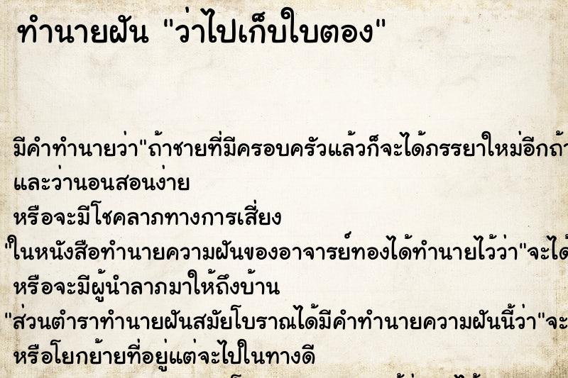 ทำนายฝันว่าไปเก็บใบตอง ทำนายฝันทำนายฝันว่าไปเก็บใบตอง