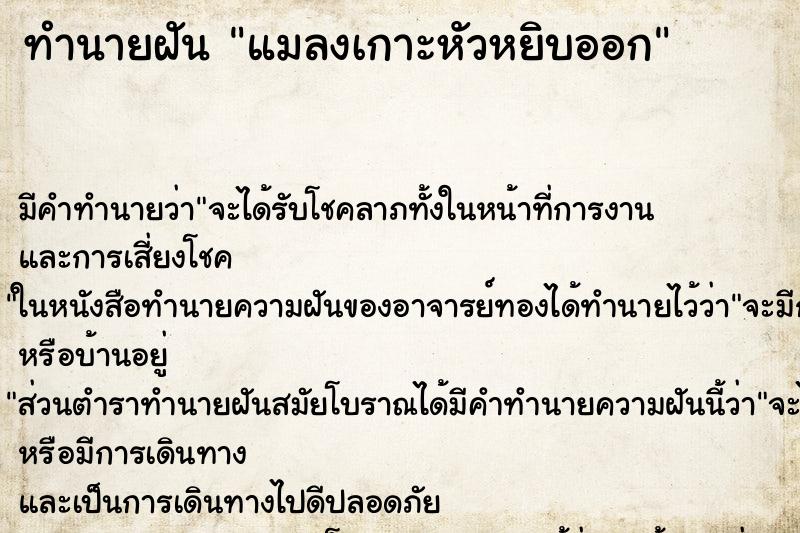 ทำนายฝัน แมลงเกาะหัวหยิบออก ทำนายฝัน แมลงเกาะหัวหยิบออก