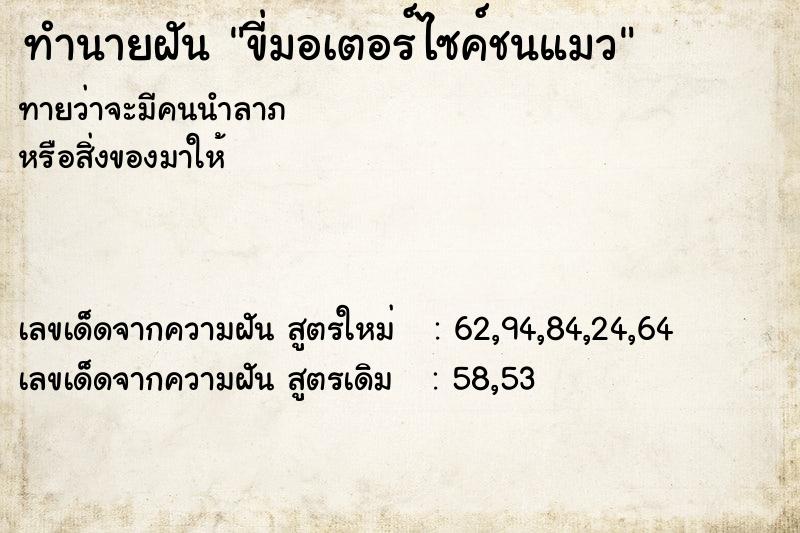 ทำนายฝันขี่มอเตอร์ไซค์ชนแมว ทำนายฝันทำนายฝันขี่มอเตอร์ไซค์ชนแมว