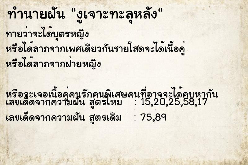 ทำนายฝันงูเจาะทะลุหลัง ทำนายฝันทำนายฝันงูเจาะทะลุหลัง