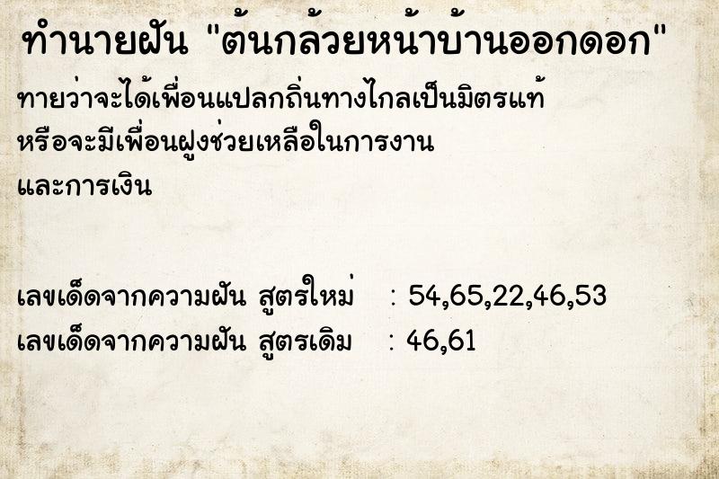 ทำนายฝันต้นกล้วยหน้าบ้านออกดอก ทำนายฝันทำนายฝันต้นกล้วยหน้าบ้านออกดอก