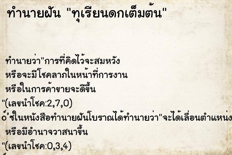 ทำนายฝัน ทุเรียนดกเต็มต้น