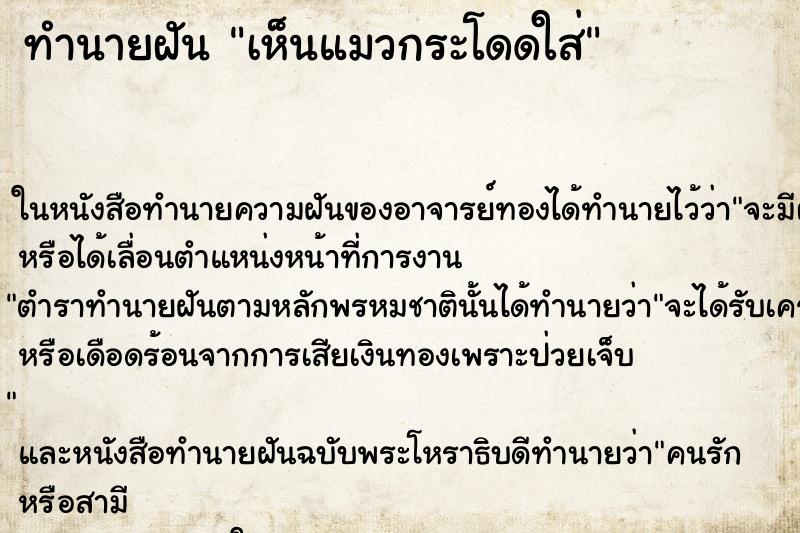 ทำนายฝัน เห็นแมวกระโดดใส่ ทำนายฝัน เห็นแมวกระโดดใส่
