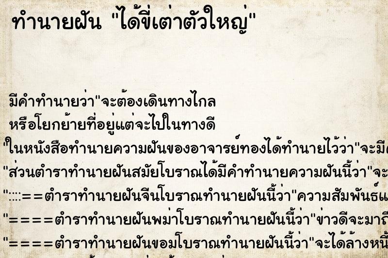 ทำนายฝัน ได้ขี่เต่าตัวใหญ่ ทำนายฝัน ได้ขี่เต่าตัวใหญ่