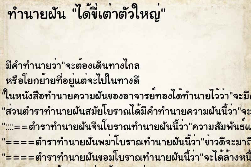 ทำนายฝัน ได้ขี่เต่าตัวใหญ่ ตำราโบราณ แม่นที่สุดในโลก