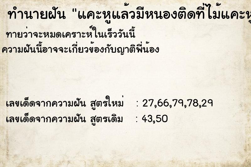 ทำนายฝันทำนายฝันแคะหูแล้วมีหนองติดที่ไม้แคะหูมีเลือดไหลออกจากหู