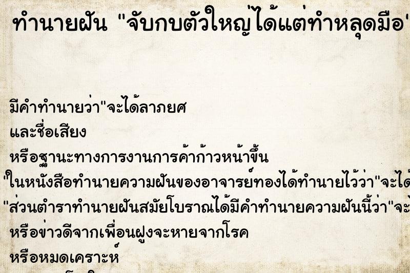 ทำนายฝัน จับกบตัวใหญ่ได้แต่ทำหลุดมือ ทำนายฝัน จับกบตัวใหญ่ได้แต่ทำหลุดมือ