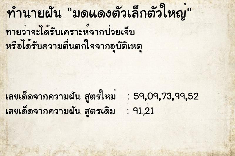 ทำนายฝันทำนายฝันมดแดงตัวเล็กตัวใหญ่