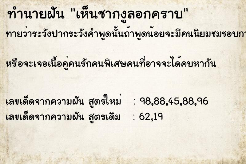 ทำนายฝัน เห็นซากงูลอกคราบ ทำนายฝัน เห็นซากงูลอกคราบ