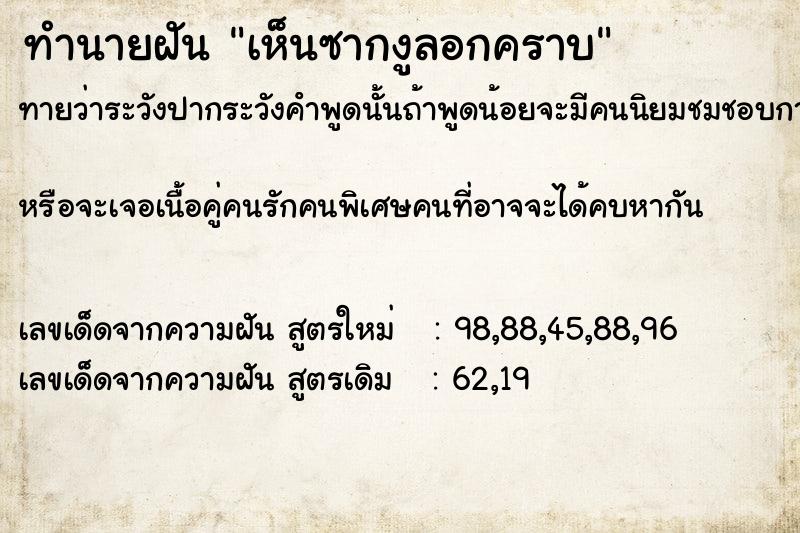 ทำนายฝัน เห็นซากงูลอกคราบ ตำราโบราณ แม่นที่สุดในโลก