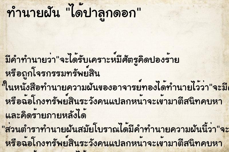 ทำนายฝัน ได้ปาลูกดอก ทำนายฝัน ได้ปาลูกดอก
