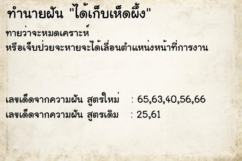 ทำนายฝันทำนายฝันได้เก็บเห็ดผึ้ง