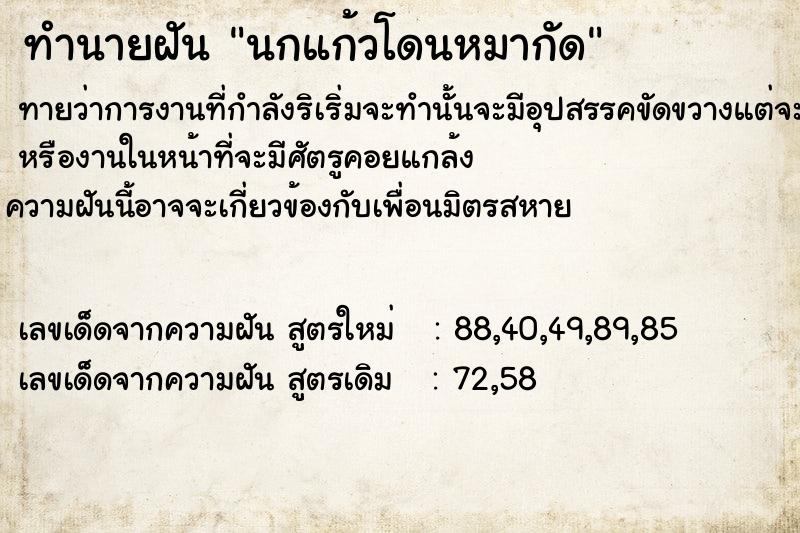 ทำนายฝันนกแก้วโดนหมากัด ทำนายฝันทำนายฝันนกแก้วโดนหมากัด
