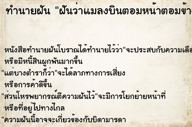 ทำนายฝันฝันว่าแมลงบินตอมหน้าตอมข้างหู ทำนายฝันทำนายฝันฝันว่าแมลงบินตอมหน้าตอมข้างหู