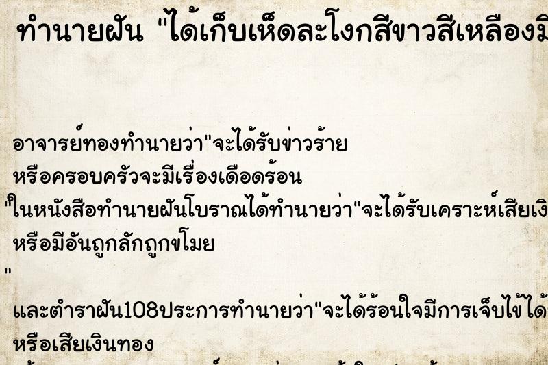 ทำนายฝัน ได้เก็บเห็ดละโงกสีขาวสีเหลืองมีแต่ดอกตูมๆ