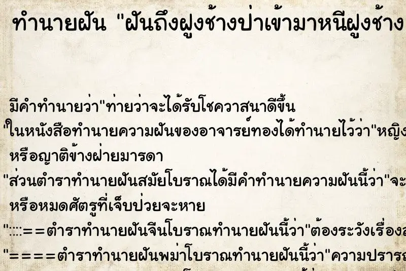 ทำนายฝัน ฝันถึงฝูงช้างป่าเข้ามาหนีฝูงช้าง ทำนายฝัน ฝันถึงฝูงช้างป่าเข้ามาหนีฝูงช้าง