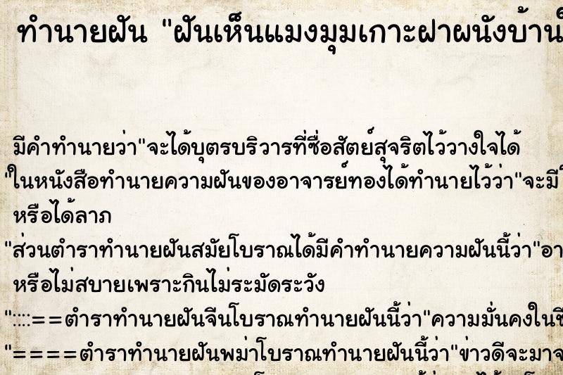 ทำนายฝันทำนายฝันฝันเห็นแมงมุมเกาะฝาผนังบ้านในห้องนอน