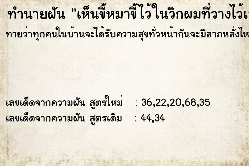 ทำนายฝันทำนายฝันเห็นขี้หมาขี้ไว้ในวิกผมที่วางไว้เลยอะเลย