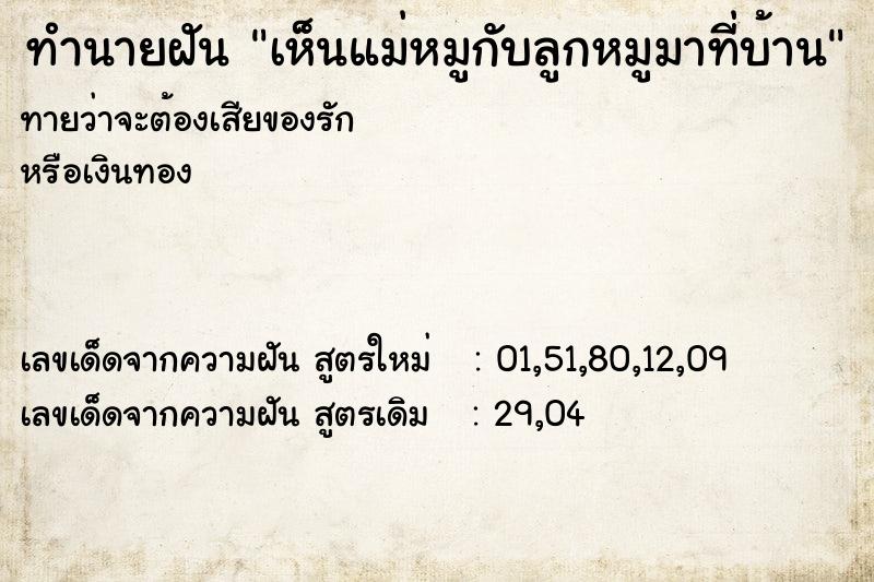 ทำนายฝันทำนายฝันเห็นแม่หมูกับลูกหมูมาที่บ้าน