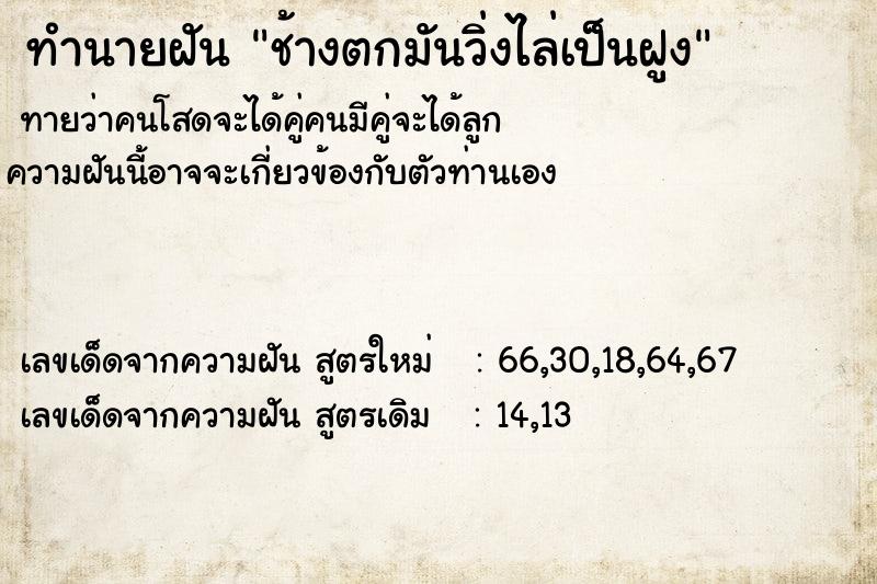 ทำนายฝันช้างตกมันวิ่งไล่เป็นฝูง ทำนายฝันทำนายฝันช้างตกมันวิ่งไล่เป็นฝูง