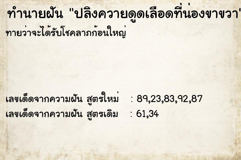 ทำนายฝันปลิงควายดูดเลือดที่น่องขาขวา ทำนายฝันทำนายฝันปลิงควายดูดเลือดที่น่องขาขวา