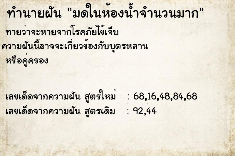 ทำนายฝัน มดในห้องน้ำจำนวนมาก