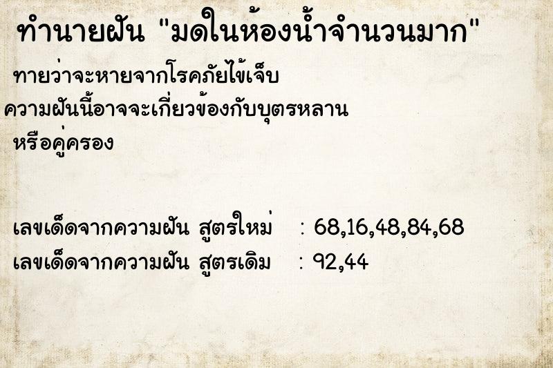 ทำนายฝัน มดในห้องน้ำจำนวนมาก ตำราโบราณ แม่นที่สุดในโลก