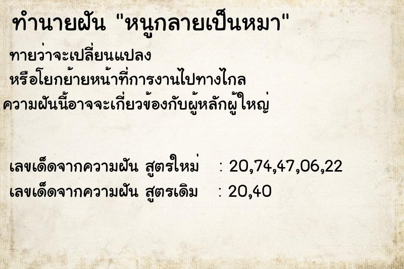 ทำนายฝันทำนายฝันหนูกลายเป็นหมา