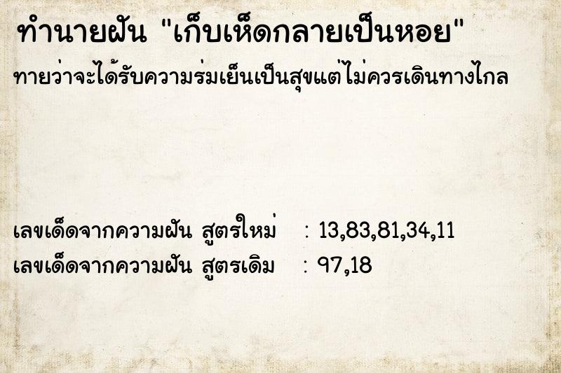 ทำนายฝันทำนายฝันเก็บเห็ดกลายเป็นหอย