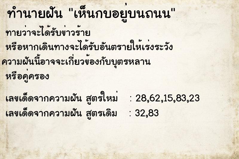 ทำนายฝันเห็นกบอยู่บนถนน ทำนายฝันทำนายฝันเห็นกบอยู่บนถนน