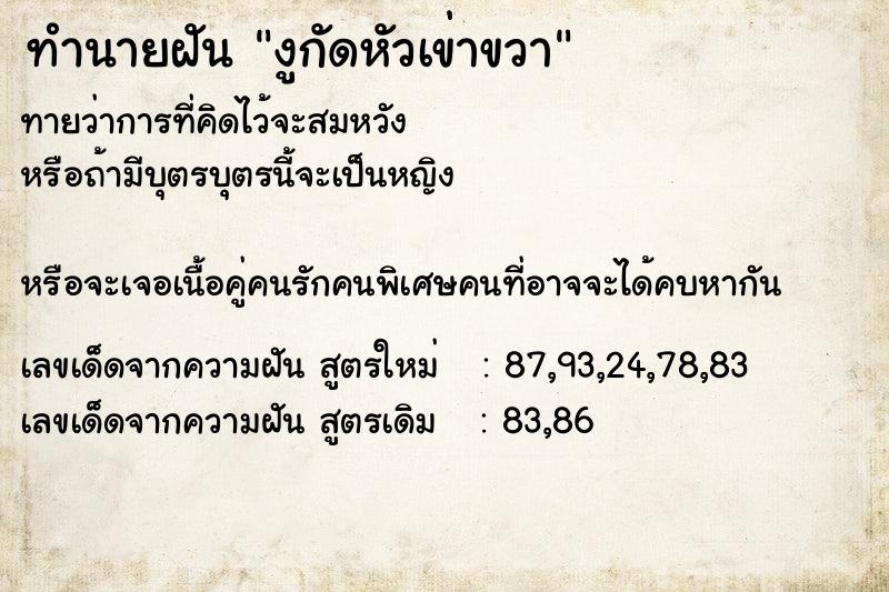 ทำนายฝัน งูกัดหัวเข่าขวา ทำนายฝัน งูกัดหัวเข่าขวา