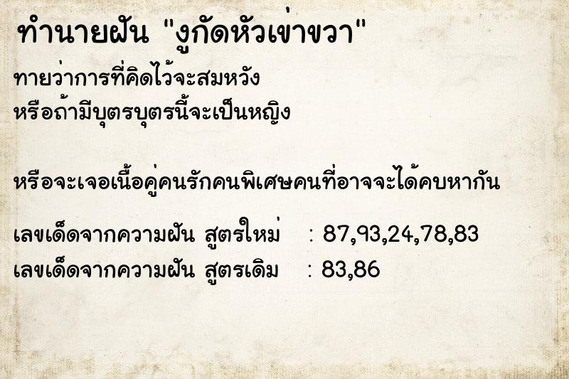 ทำนายฝัน งูกัดหัวเข่าขวา ตำราโบราณ แม่นที่สุดในโลก