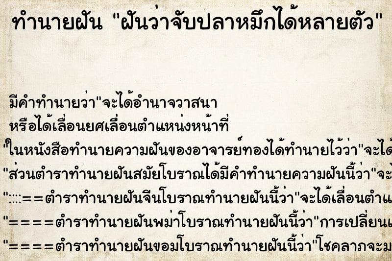ทำนายฝัน ฝันว่าจับปลาหมึกได้หลายตัว ทำนายฝัน ฝันว่าจับปลาหมึกได้หลายตัว