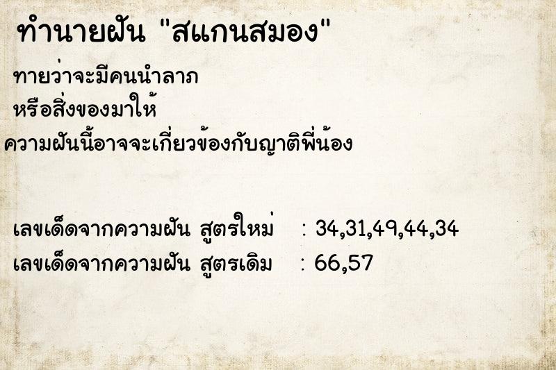ทำนายฝันทำนายฝันสแกนสมอง
